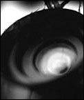 camera1.jpg