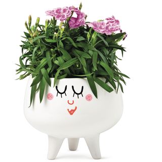 white designed plant pot with flower plant
