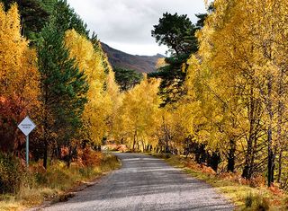 Scotland in Autumn