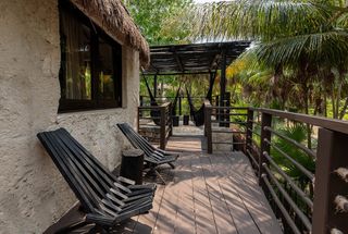 A hotel terrace in the jungle with reclining chairs