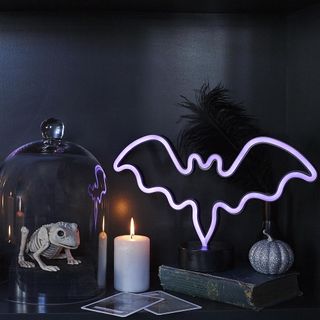 Neon bat light