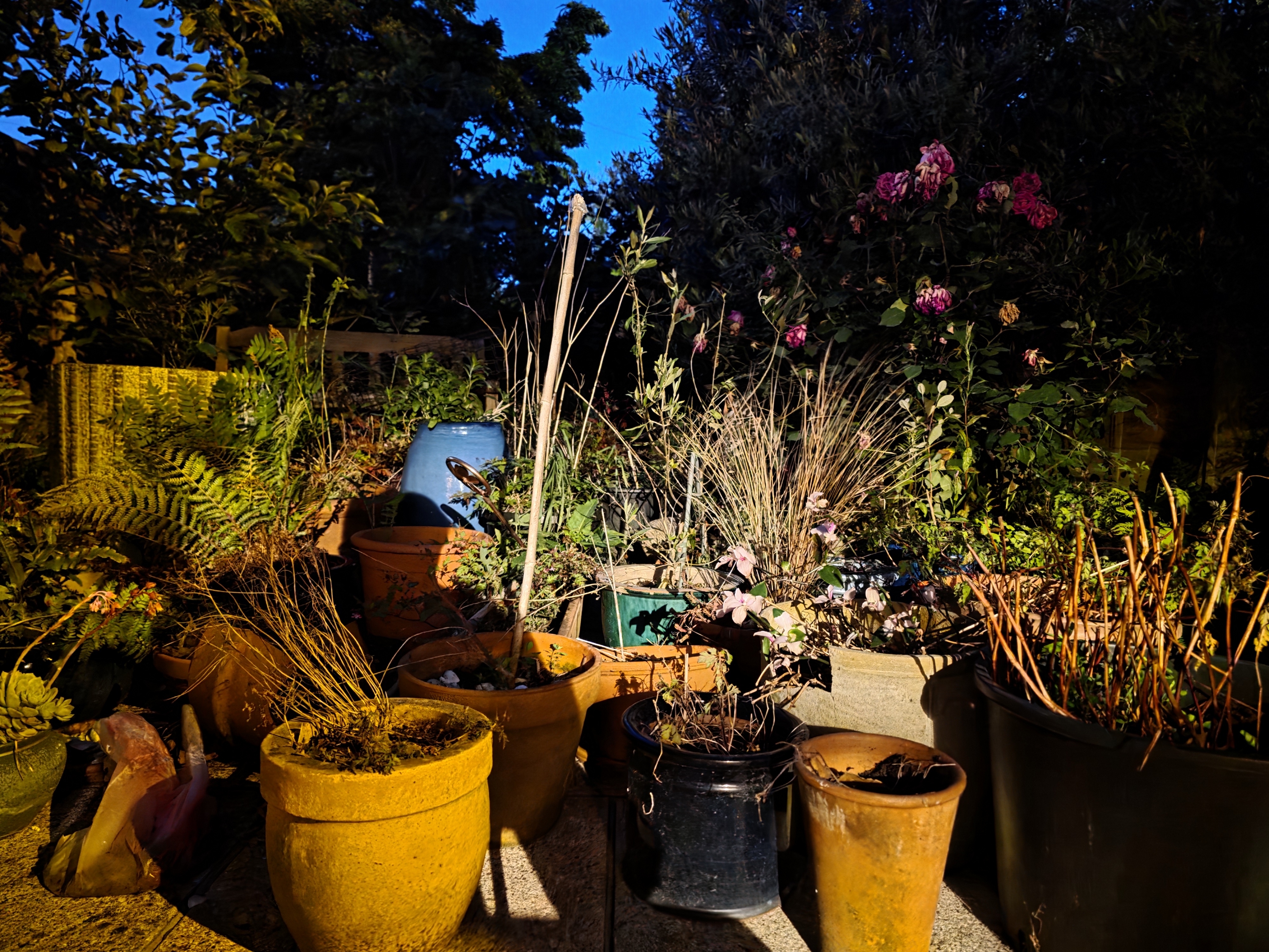 Galaxy S25 Ultra camera sample low light