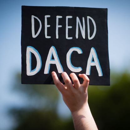 daca protest