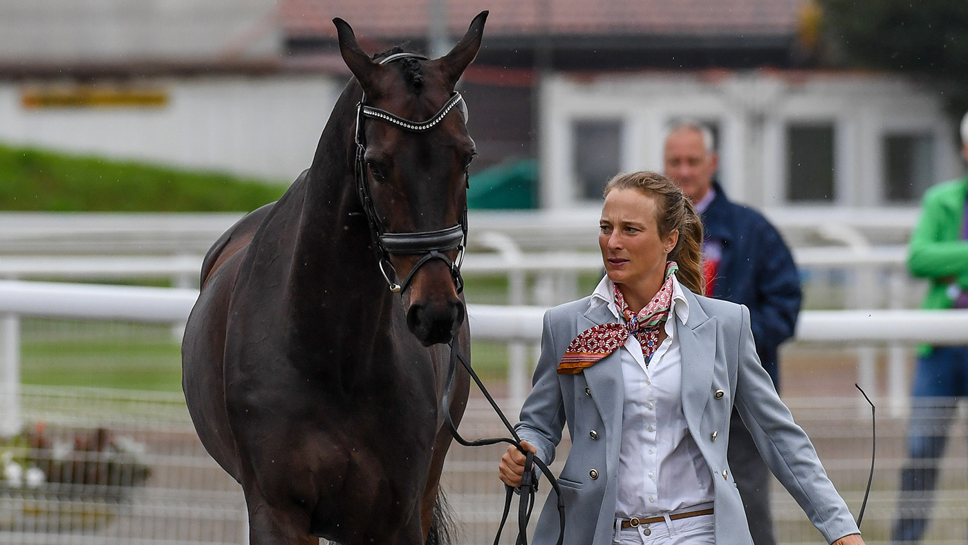 European Eventing Championships final trot-up: Lara de Liedekerke-Meier with Ducati D&amp;rsquo;Arville