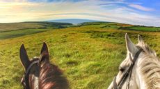 View from a riding hat camera