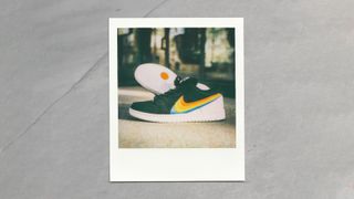 Nike SB Dunk Low Pro Polaroid sneakers