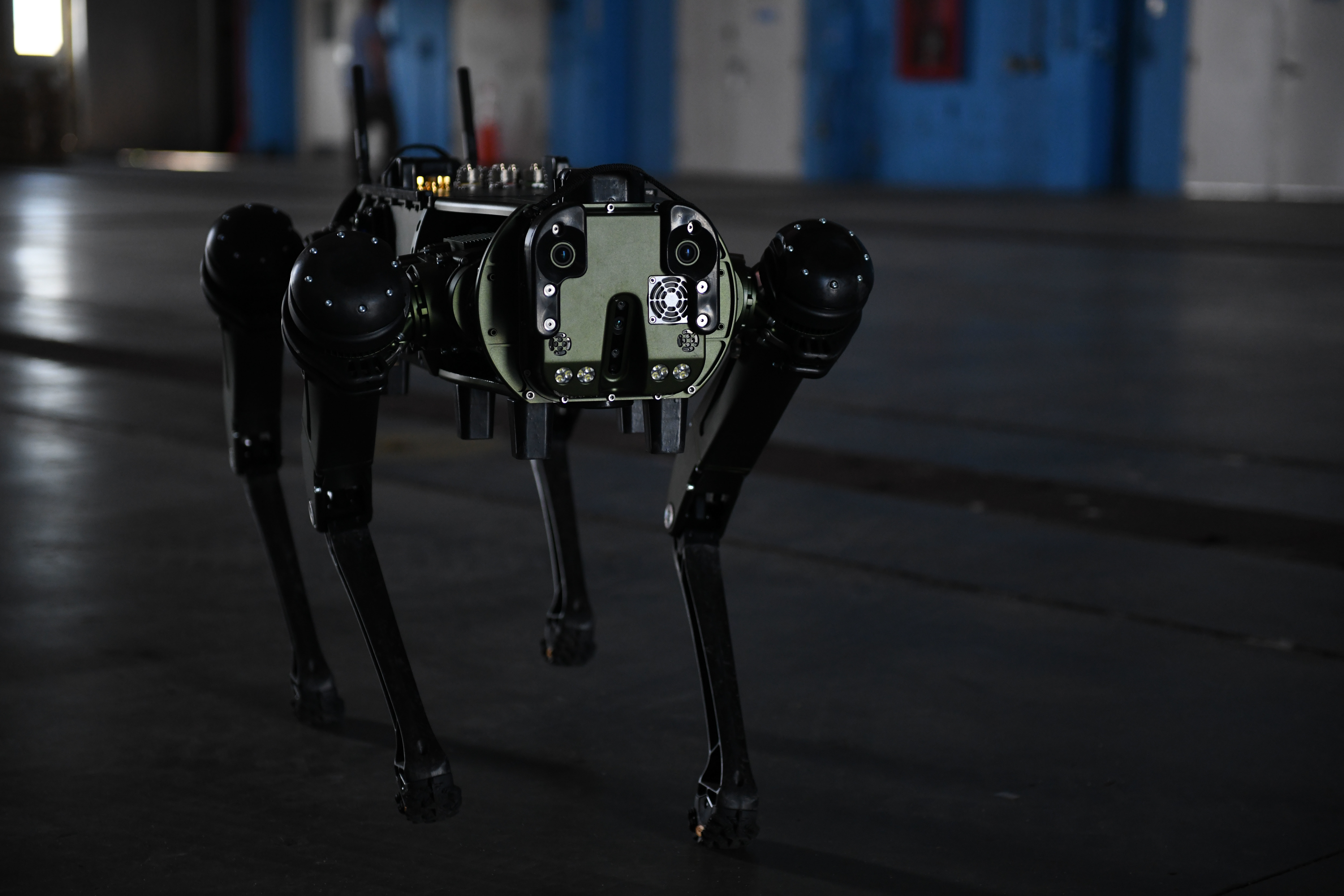A Ghost Robotics, Vision 60 Quadruped Unmanned Ground Vehicle (Q-UGV) is operated during a demo for 45th Security Forces Squadron at Cape Canaveral Space Force Station, Fla., July 28, 2022.