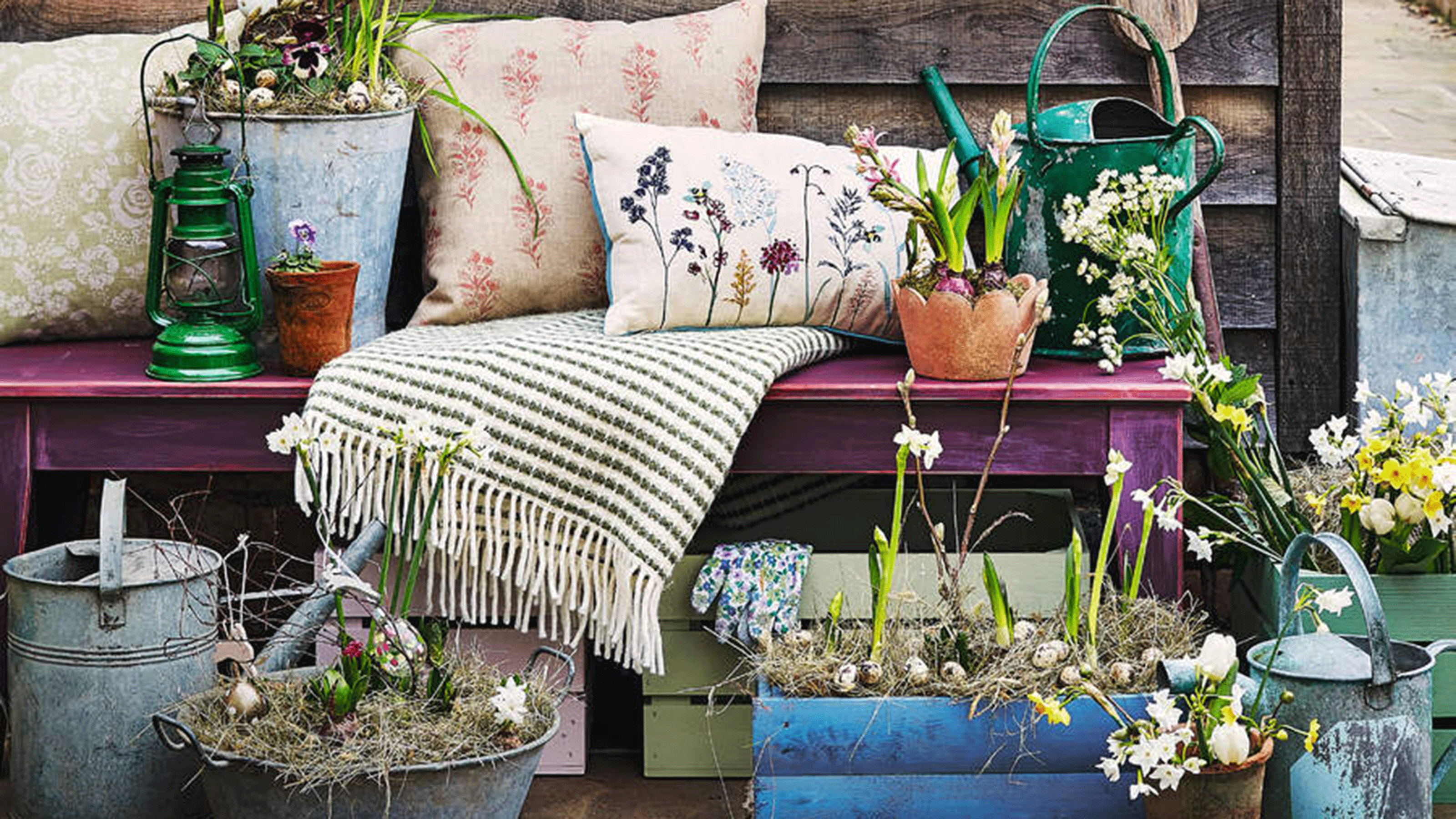 An assortment of planters on garden bench with throws and outdoor cushions