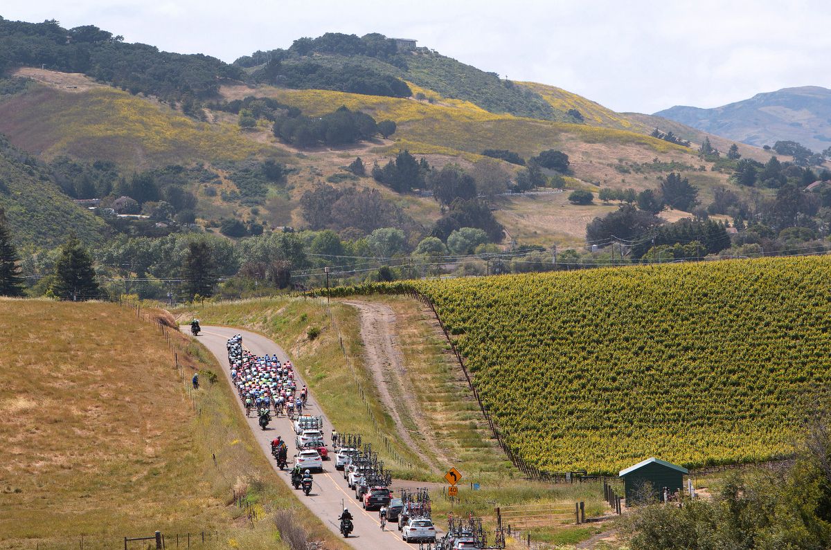 The peloton riding through wine country