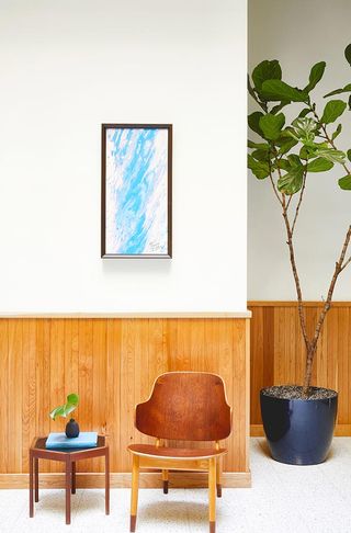 White wall, potted plant, and chair in a hotel