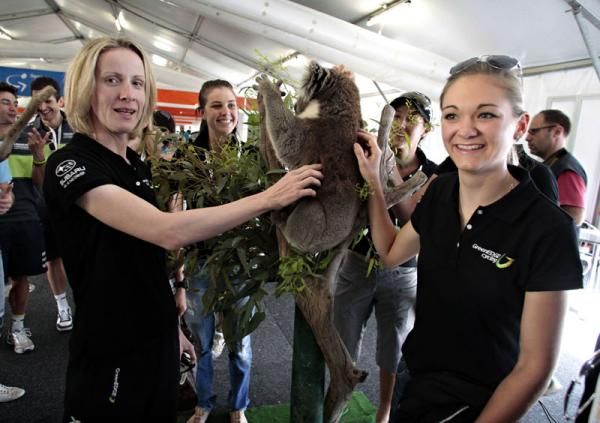 The girls from GreenEdge with a cuddly Koala