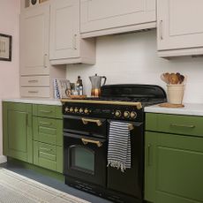 kitchen with green cabinets and pink wall units