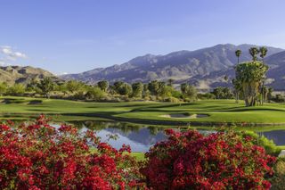 The San Jacinto Mountains behind a golf course lake surrounded by pink flowers in Palm Springs, California