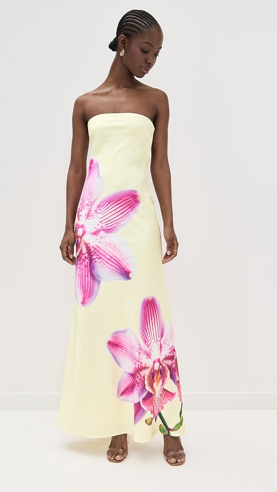 Runaway the Label Celeste Maxi Dress