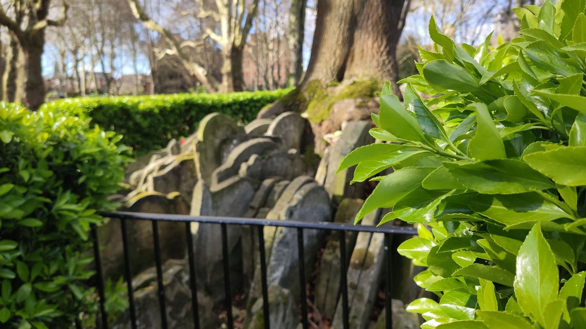 Focused on the leaves. (Image credit: TechRadar)