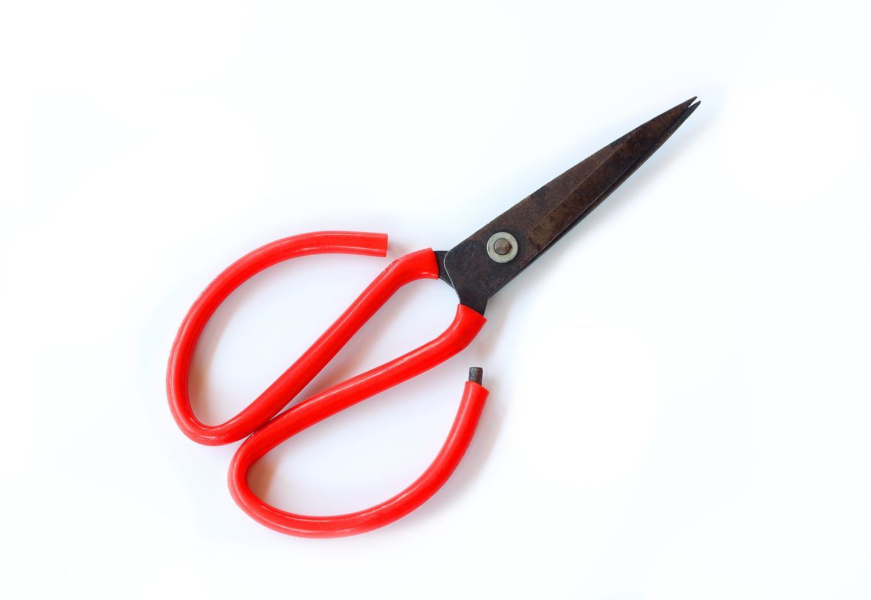 garden scissors