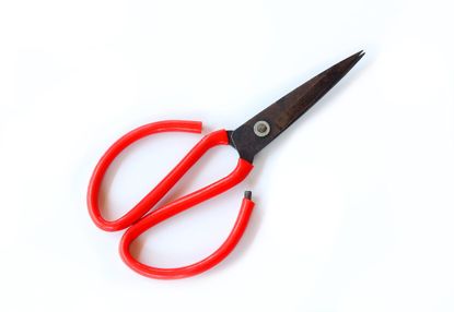 How To Use Scissors