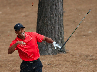 Tiger winces with pain as his club strikes a tree root on the 9th