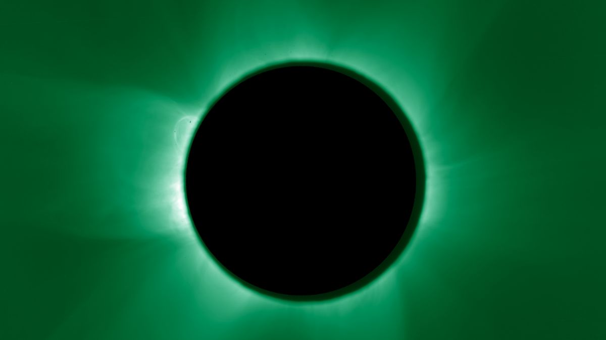 A black circle on a green background