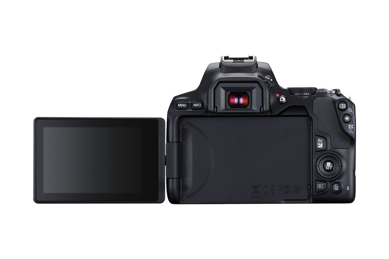 Canon EOS Rebel SL3 / EOS 250D. Image Credit: Canon