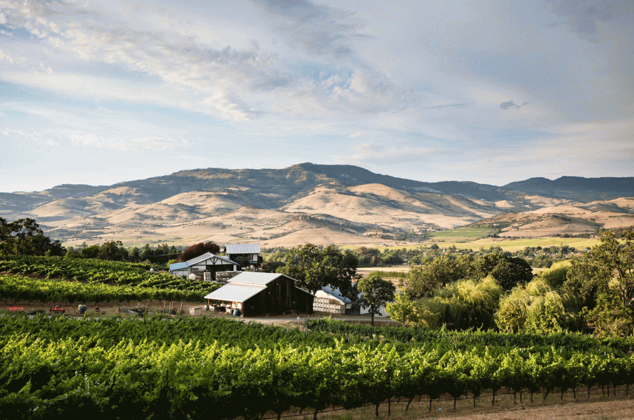 Southern Oregon - Weisinger Family Winery, Rogue Valley AVA