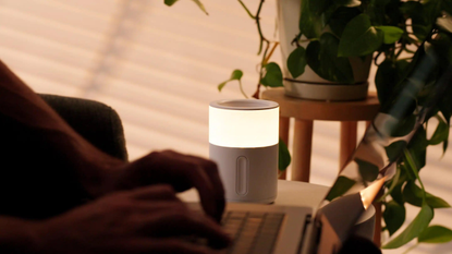 relm smart candle