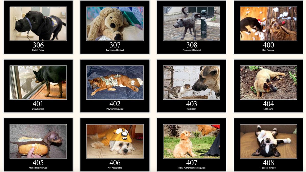 Dogs explain the mysteries of HTTP status codes Creative Bloq