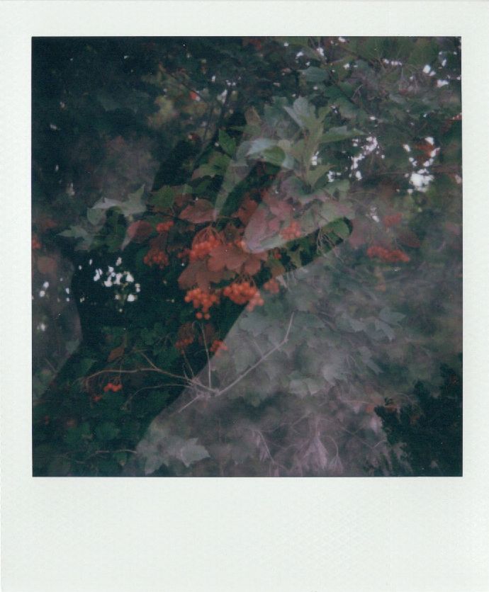 Image sample from the Polaroid Mod