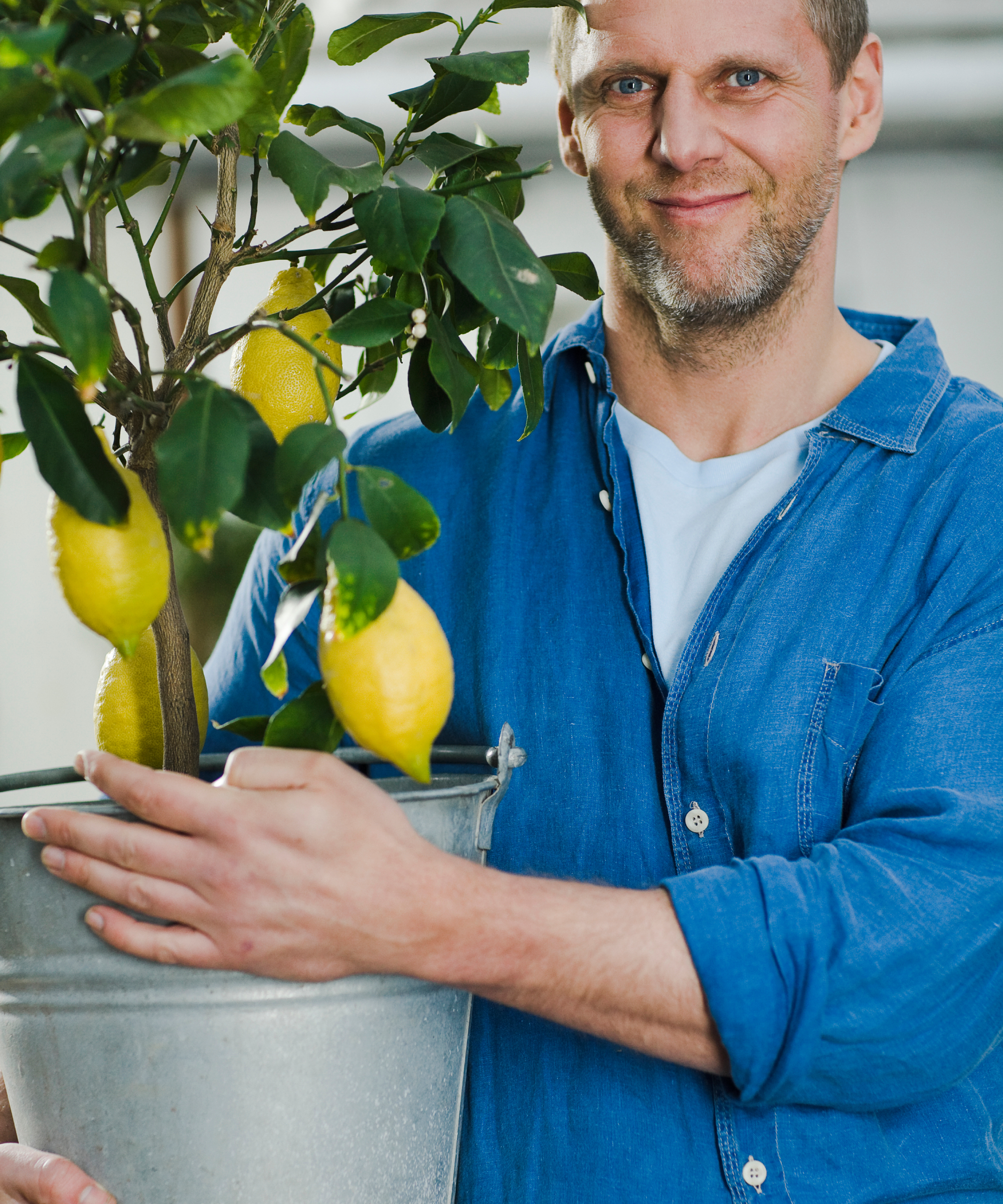 moving a potted lemon tree inside