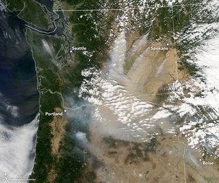 NASA's Earth Observatory published this Sept. 7, 2020 image of the state of Washington. Several smoke plumes are visible on the eastern side of the state.