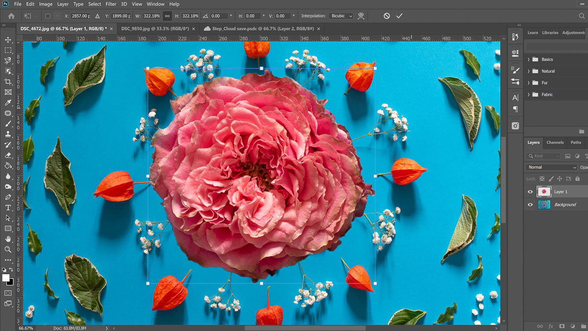 Best graphic design software: screenshot from Adobe photoshop