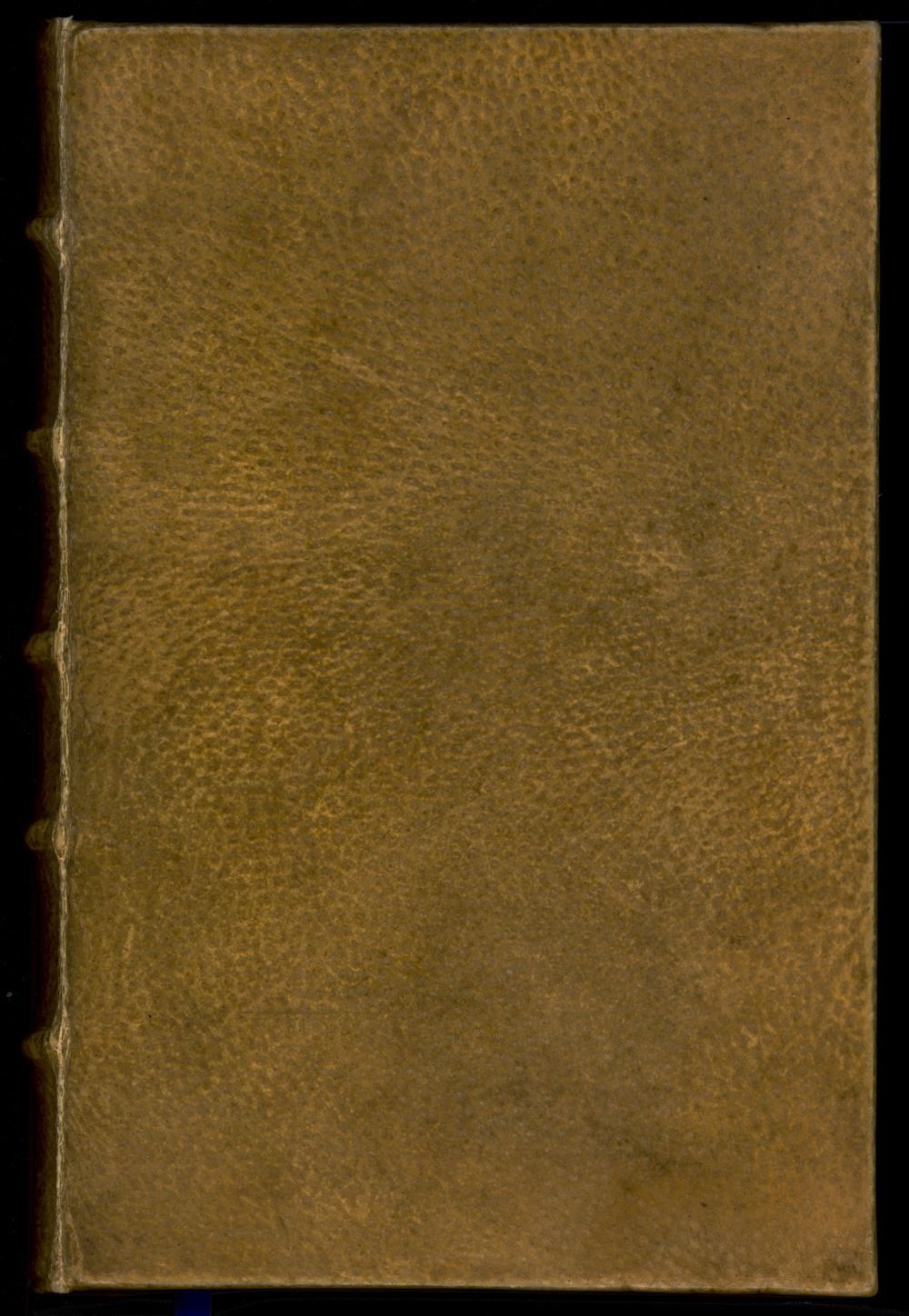 Book Bound in Human Skin