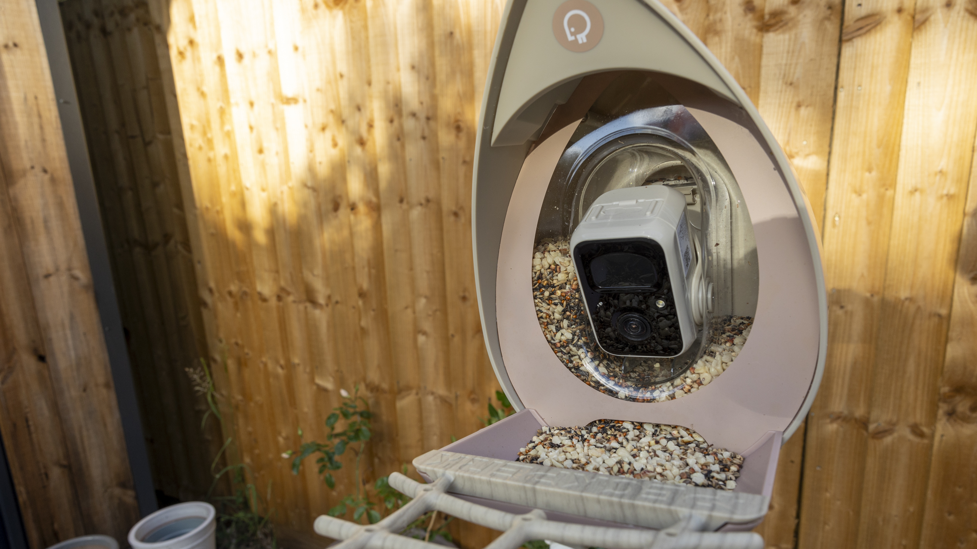 The PeckPerk bird feeder on a tripod in a small English garden