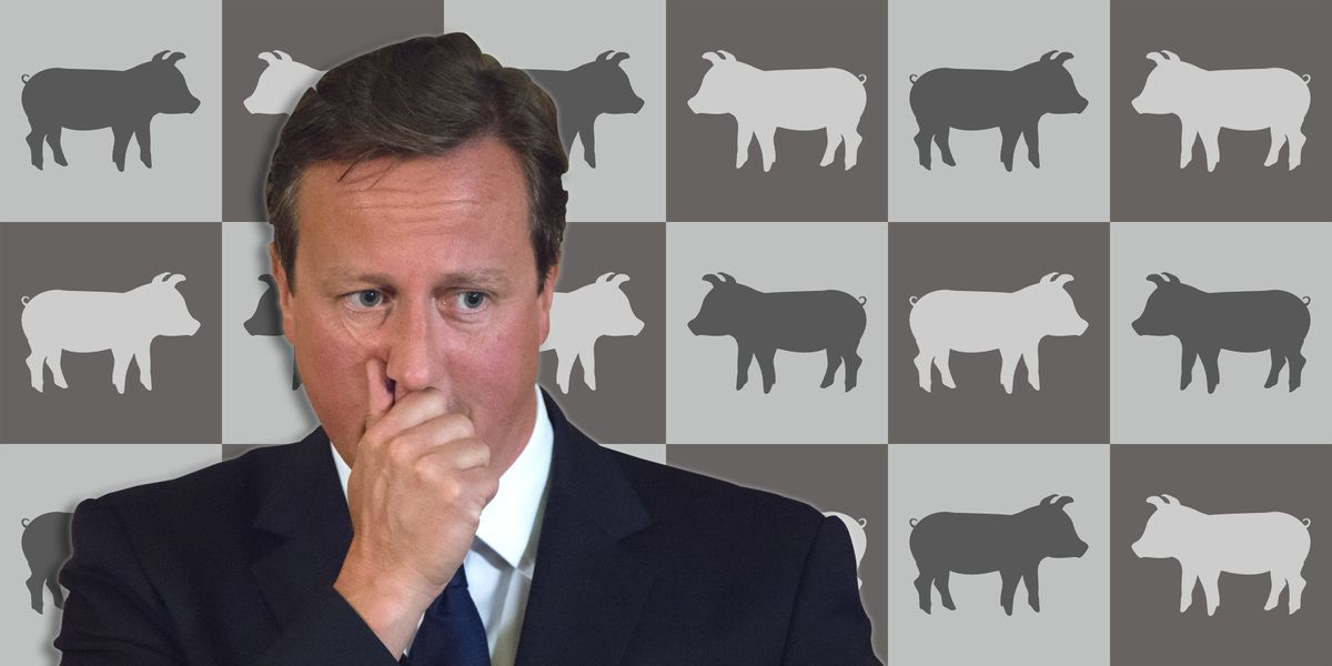 Why David Camerons Piggate Is Totally Believable The Week