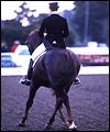 301F7800-E33C-46BC-A606-69B92F0A79B8.jpg
