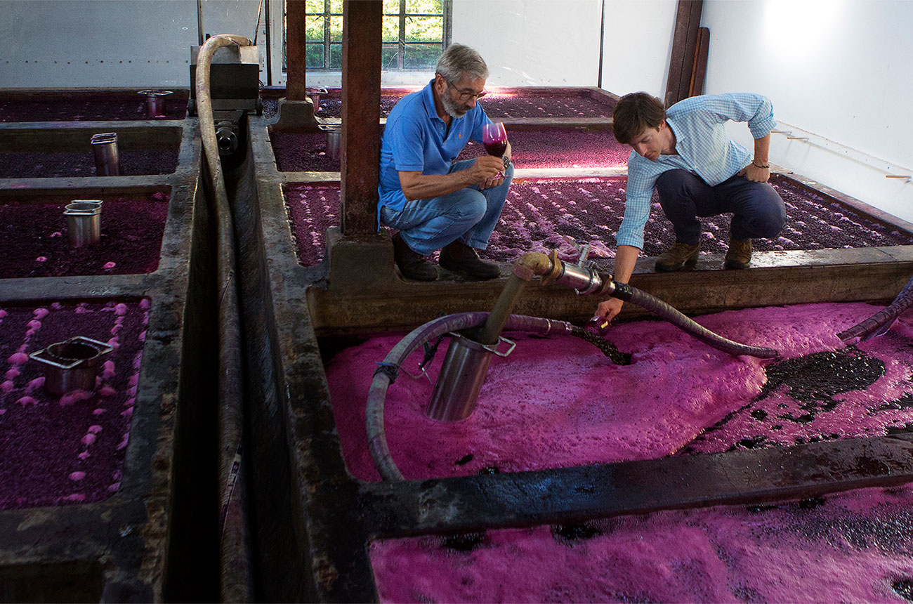 Mount Edelstone making wine