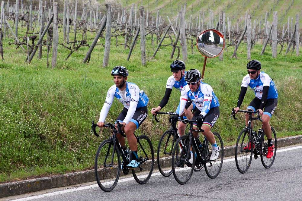 The quartet ride past a vineyard during the Gino Bartali ride