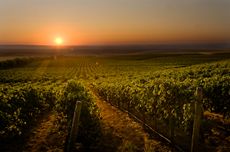 Washington 2018 best value