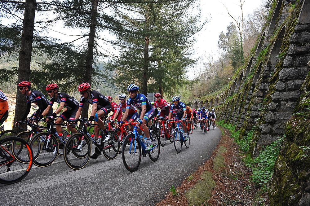 The peloton in action during stage 1.