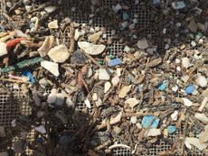 plastics kailua beach