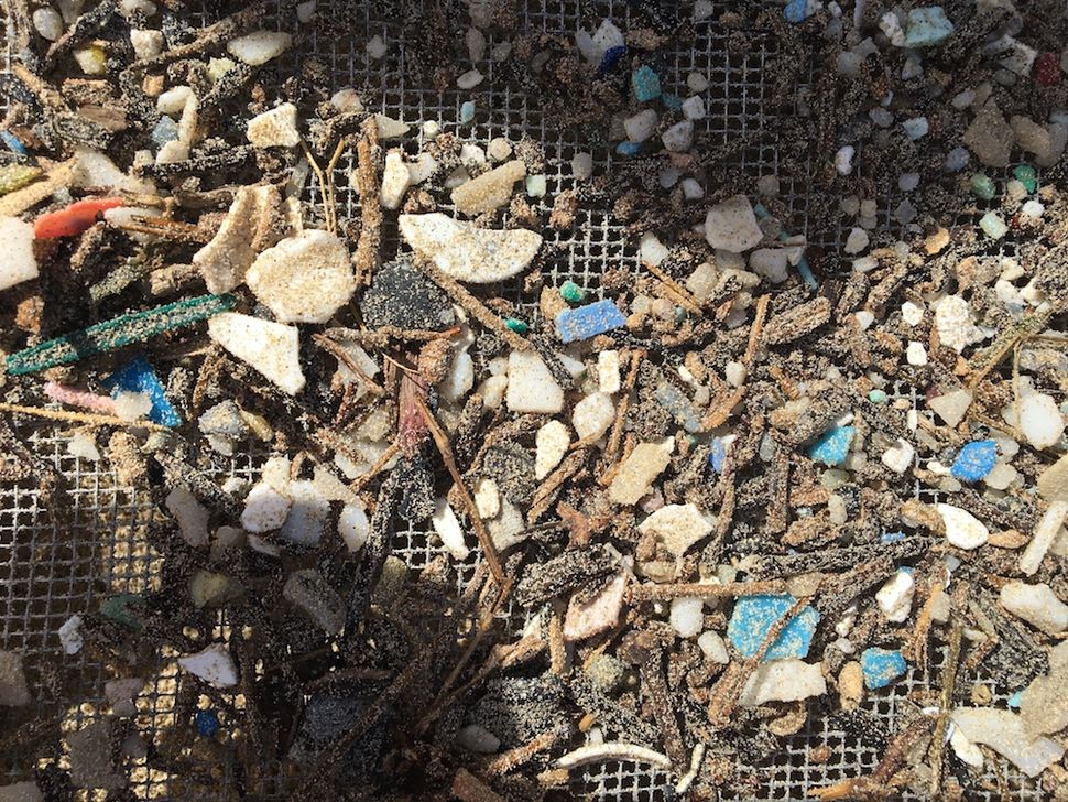 Plastic Is Even Worse for the Environment Than You Thought | Live Science