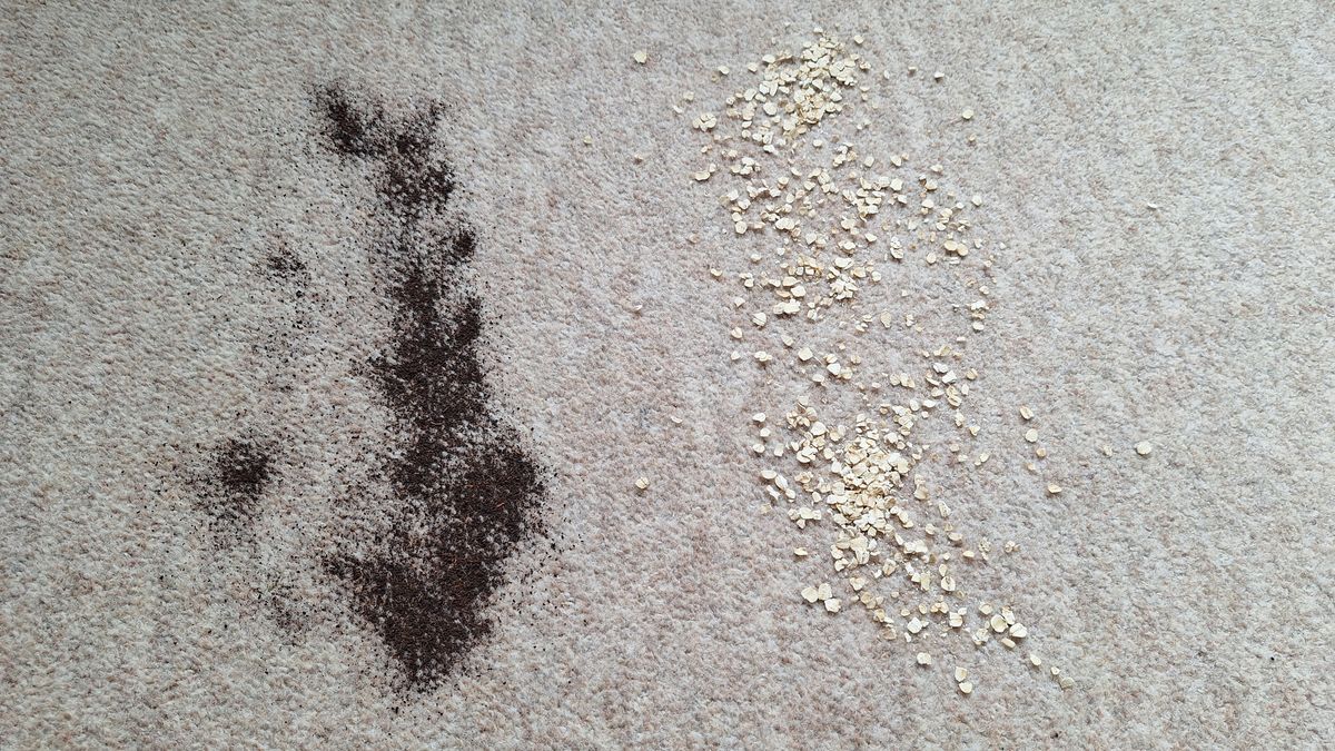 Tea and oats on a carpeted floor ready for suction test