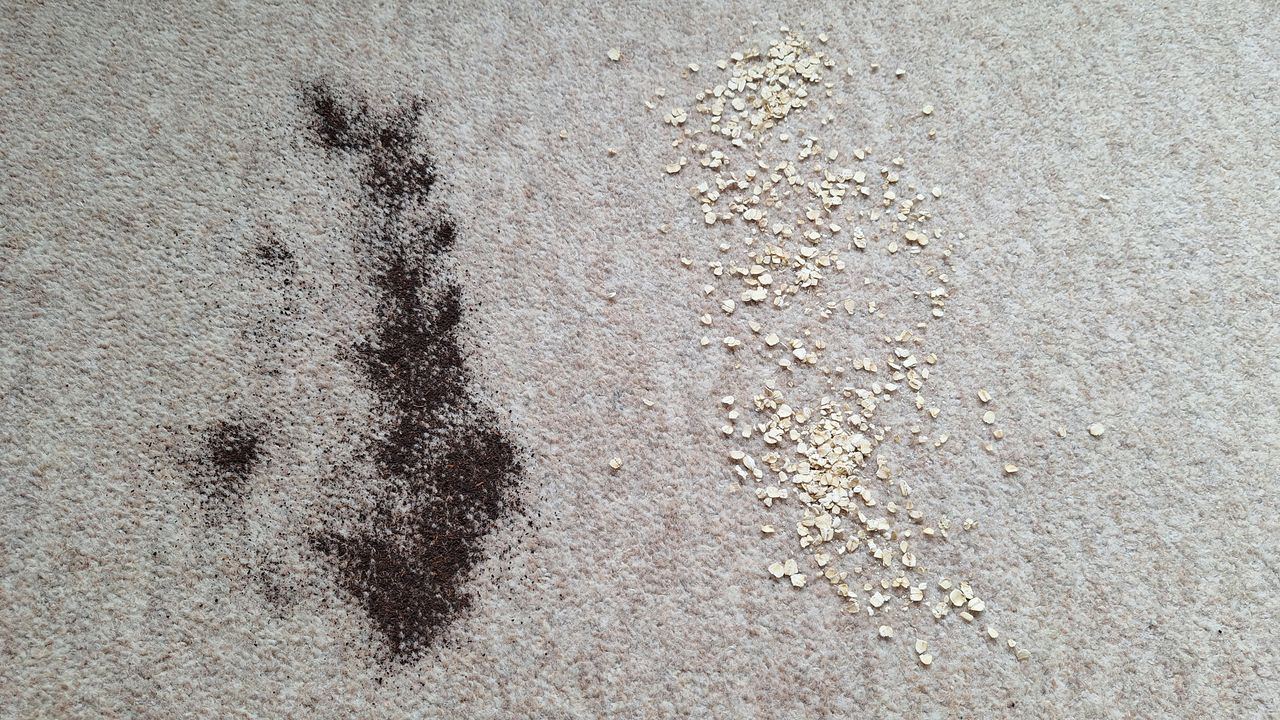 Tea and oats on a carpeted floor ready for suction test