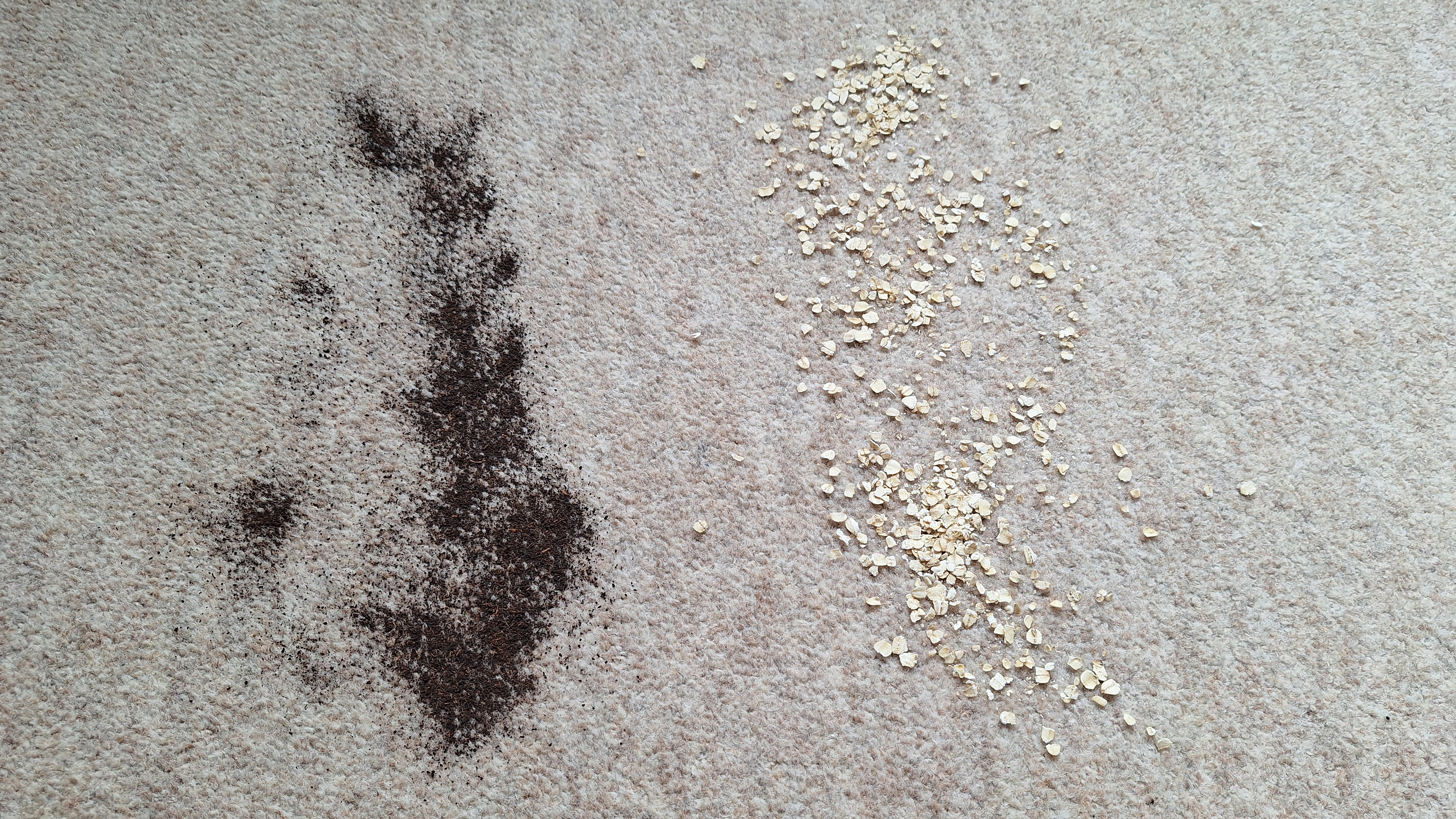 Tea and oats on a carpeted floor ready for suction test