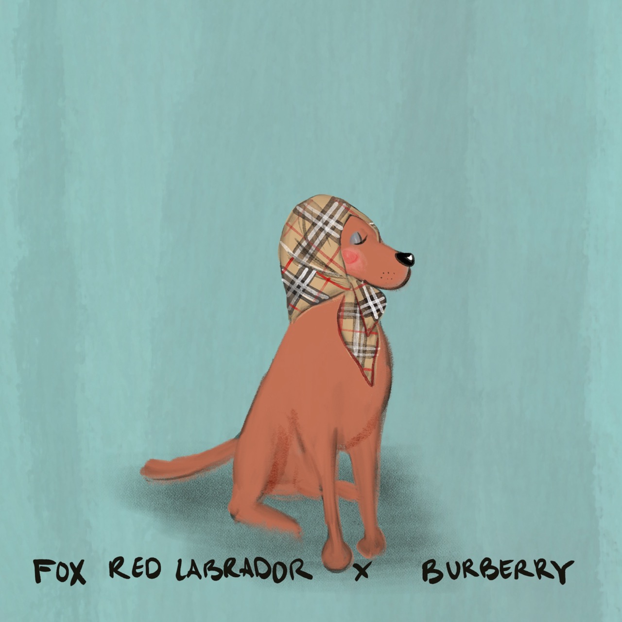A series of twelve illustrated animals styled as luxury fashion designers: an Afghan hound in a slouchy blush Chlo&amp;eacute; coat; an Airedale Terrier in a navy Ralph Lauren sweater on a tartan blanket; a beagle carrying a classic Louis Vuitton handbag while wearing a monogrammed scarf; an English bulldog in a chunky cream Connolly jumper with green gloves beside it; a Birman cat in a pink Chanel jacket layered with pearls; a corgi standing proudly on an orange Herm&amp;egrave;s box with a silk scarf and pink Birkin-style bag; a long-haired dachshund in a soft cream Brunello Cucinelli cardigan; a Dalmatian posing in a dramatic Dior hat with a veil and a black umbrella; a fox red Labrador wearing a Burberry check headscarf; a poodle strutting in oversized Celine sunglasses and a gold medallion necklace; a Springer spaniel wrapped in an oversized green Barbour jacket beside wellington boots; and a Weimaraner in a sleek black Giorgio Armani turtleneck and dark sunglasses.