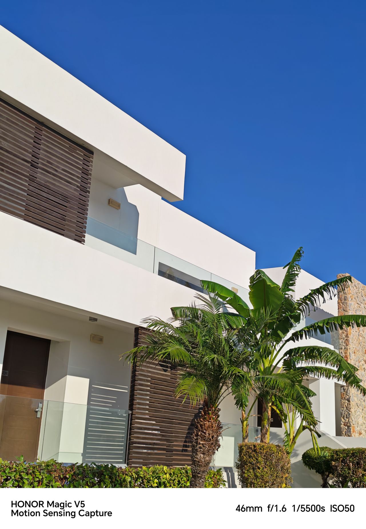 White houses and palm trees against the blue sky