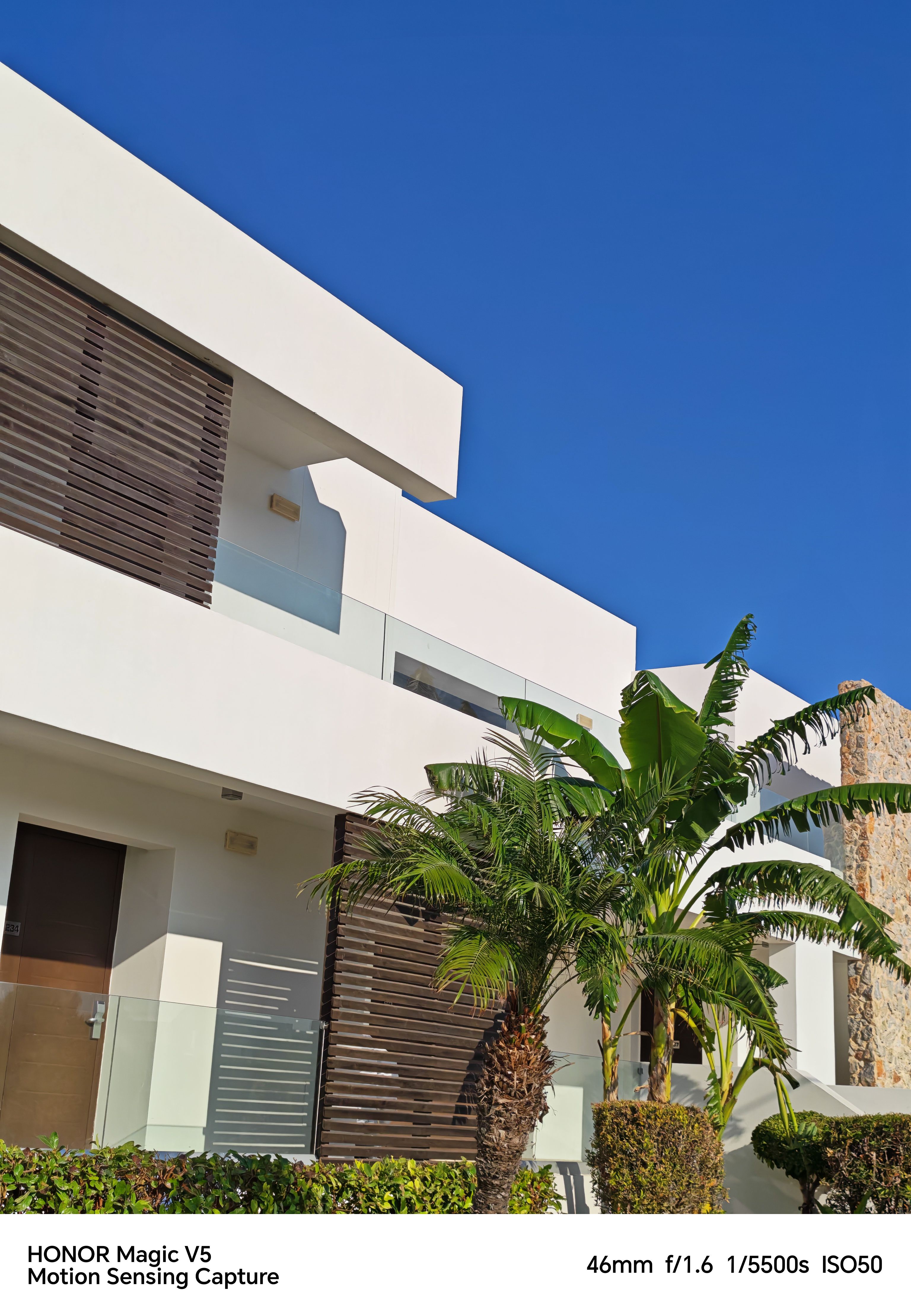 White houses and palm trees against the blue sky