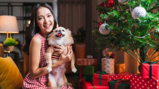 Cheerful woman sat beside Christmas tree holding Chihuahua