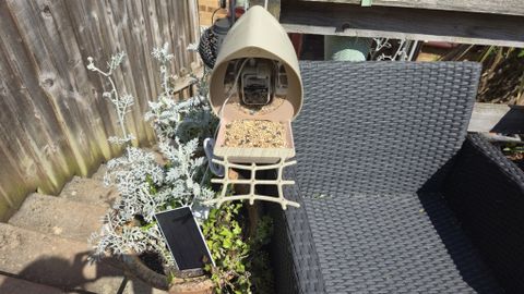 PeckPerk Smart Bird Feeder camera review: This acorn-shaped AI bird