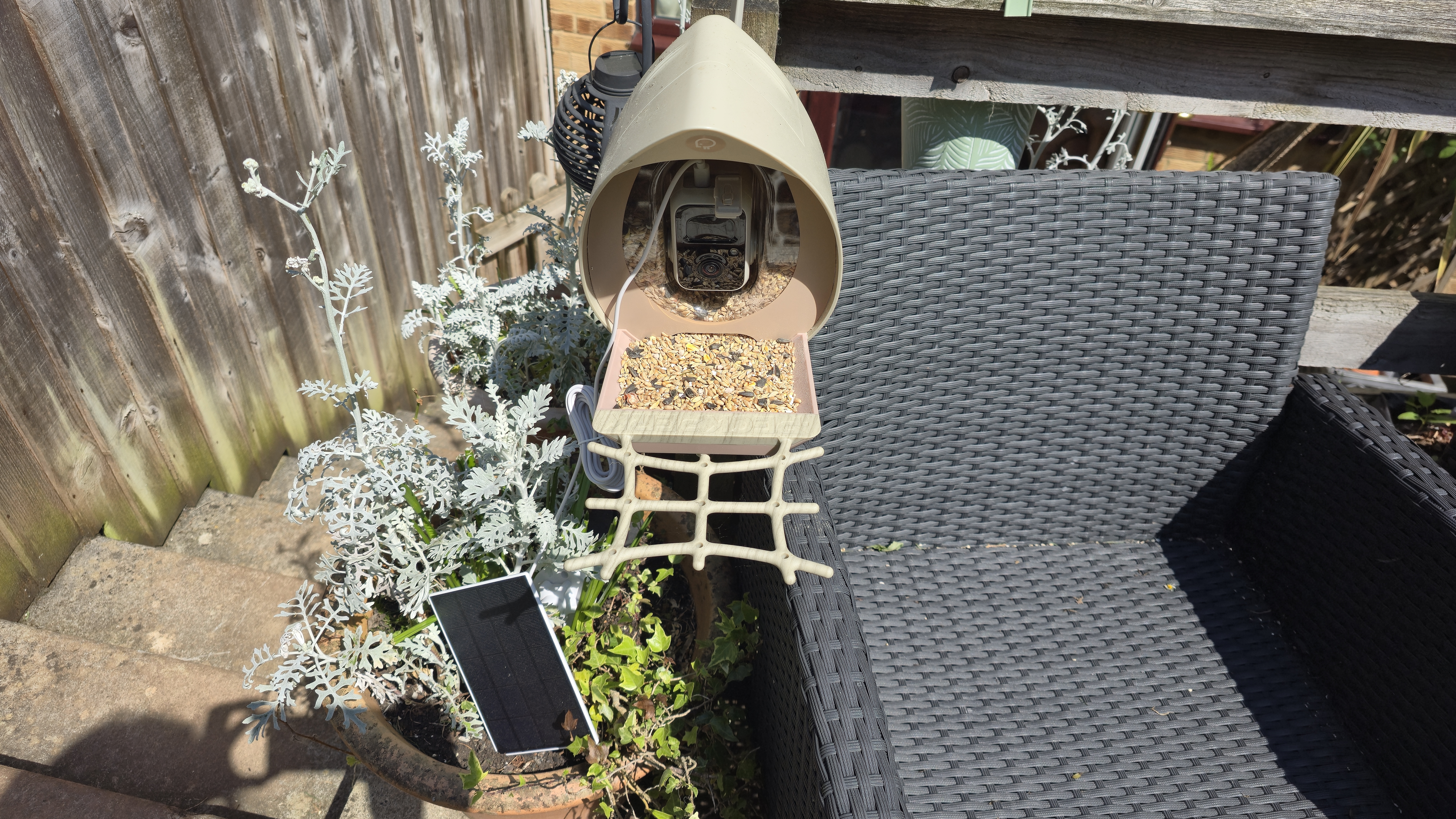 PeckPerk bird camera review